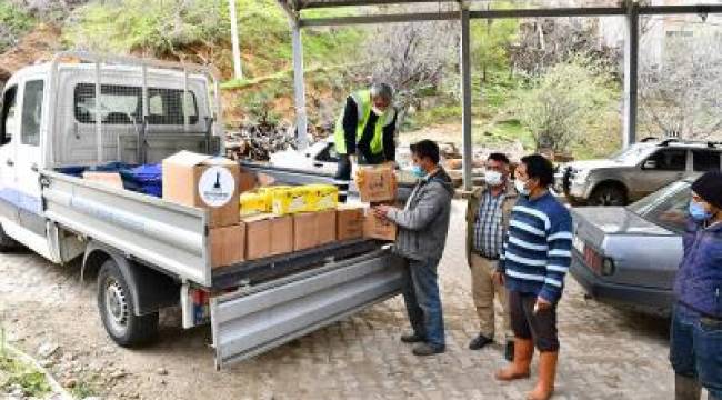 Büyükşehir kestane kanseriyle mücadelede üreticinin yanında