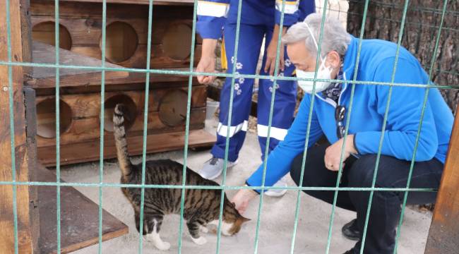 Deniz’in hatırası Kedi Evi’nde yaşayacak