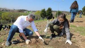 Gaziemirli çocuklar zeytin dikti