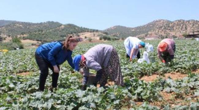 Büyükşehir'den Kiraz'daki kadınlara eğitim