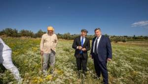 Çeşme'nin 50 yıllık geleceğini yapıyoruz