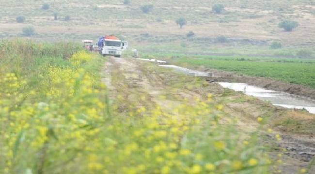 Foça'da Tarım Alanları Zehirleniyor mu? 