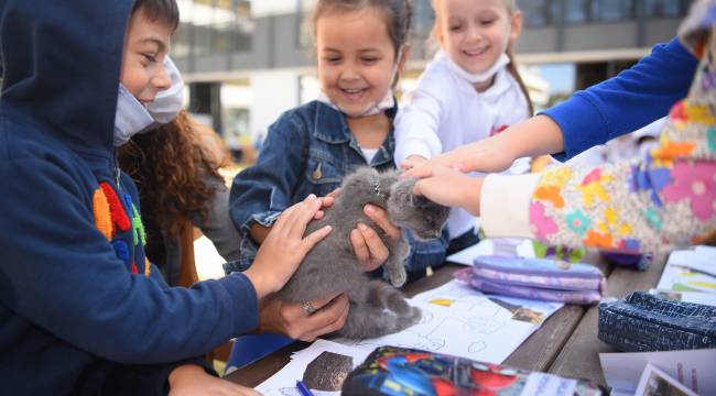 Bornova Belediyesi’nden 4 Ekim’e özel kitap