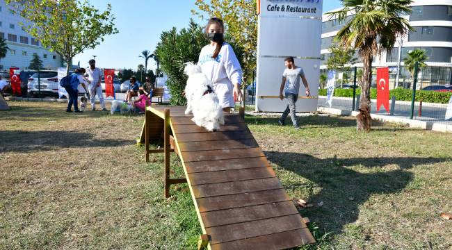 Pati Dostları Festivali Çiğli’de 4. Kez kapılarını açtı