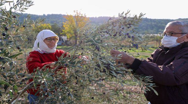 Buca Belediyesi'nden “Burs Hasadı”