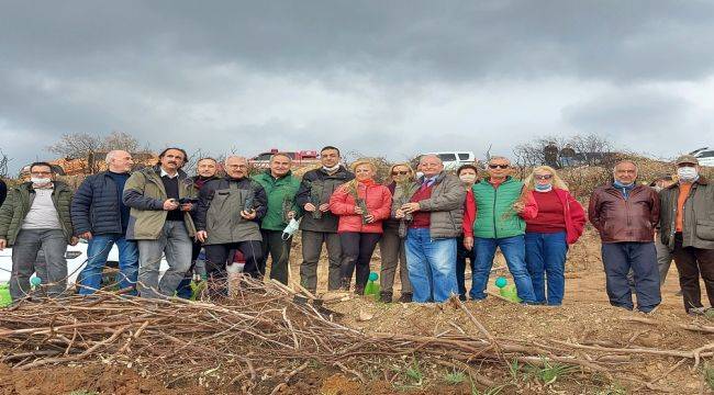 İzmir Gazeteciler Cemiyeti Bin Fidanı Toprakla Buluşturdu