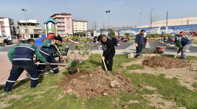 Bornova'nın Park ve Bahçelerine Bakım Yapılıyor