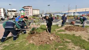 Bornova'nın Park ve Bahçelerine Bakım Yapılıyor