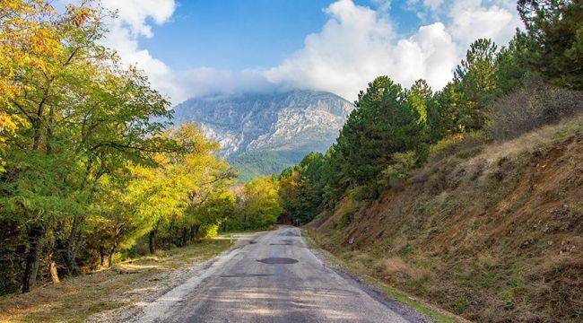 Spil'in Şifalı Otları Vatandaşla Buluşuyor