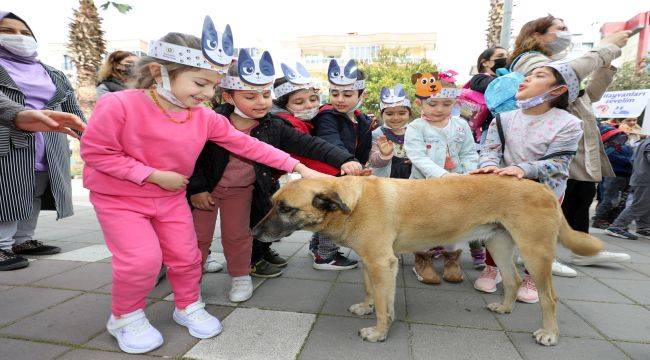 Minikler, Can Dostların Haklarına Dikkat Çekti