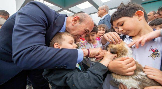 Sahipsiz dostlar İzmir’de emin ellerde