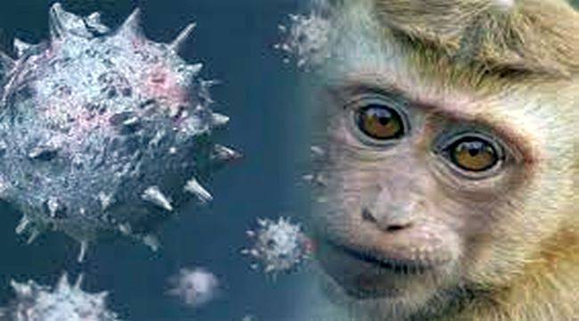 Maymun Çiçeği virüsü küçük çocukları daha fazla etkiliyor