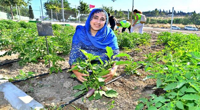 Kadifekale Mahalle Bostanı'nda ilk ürün sevinci