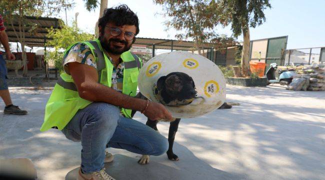 Yüz nakili yapılan 'MAYLO' yeni yuvasını arıyor