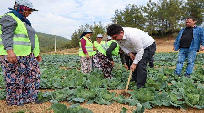 Bucalı çiftçilerden kış sezonunun ilk hasadı