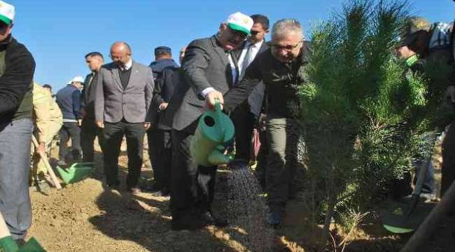 İzmir’de, 42 bin fidan toprakla buluştu