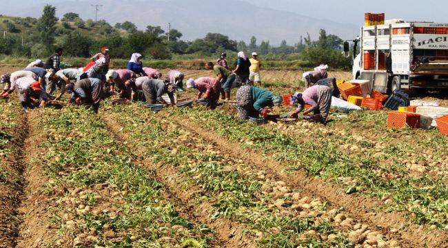 Tarım sektörü Ödemiş’te buluşuyor