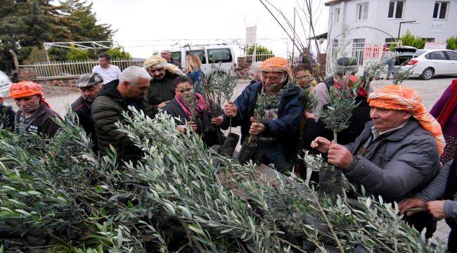 Bornova Belediyesi çiftçiye 10 bin fidan dağıttı