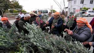 Bornova Belediyesi çiftçiye 10 bin fidan dağıttı