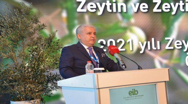 “Zeytin zeytinyağı ihracat destekleri %85 eridi”