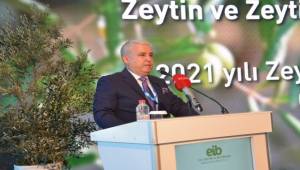 “Zeytin zeytinyağı ihracat destekleri %85 eridi”