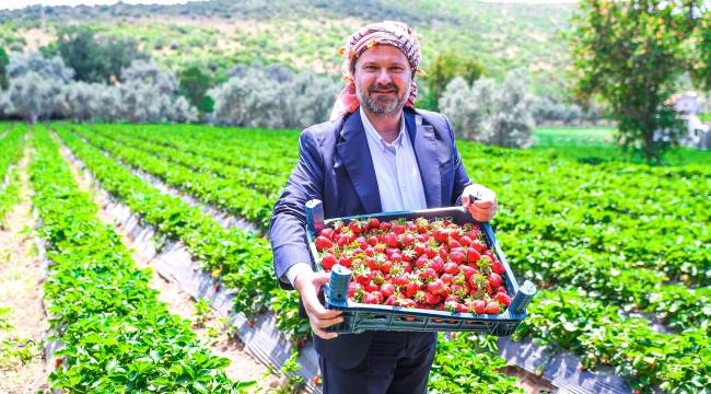 Emiralem Çilek Festivaline Ünlüler Geçidi