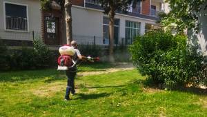 Karşıyaka'da sinek ve haşereyle etkin mücadele