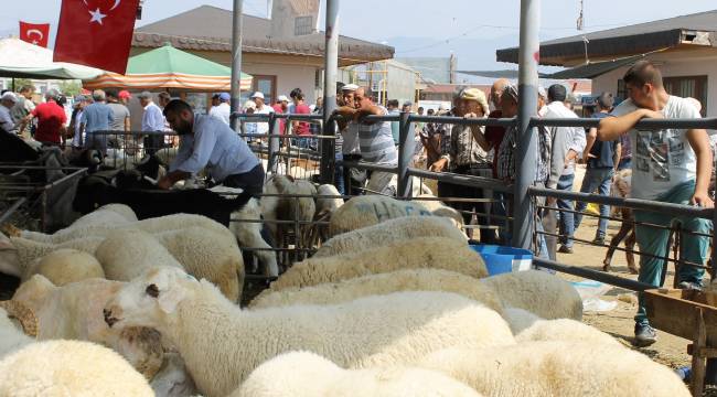 Ödemiş'te kurban satış ve kurban kesim yerleri belli oldu 