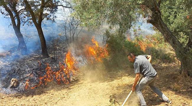 İzmir Kınık’taki yangında Devlet millet el ele verdi