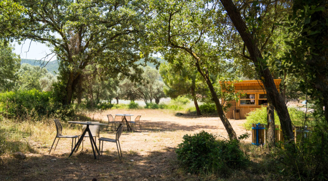 Olivelo Yaşayan Park’ta safari turları yarın başlıyor