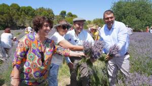 Seferihisar’da mis kokulu festival