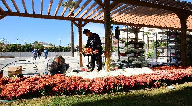 100. Yıl Uğur Mumcu Parkı Kasımpatlarıyla Renklendi 