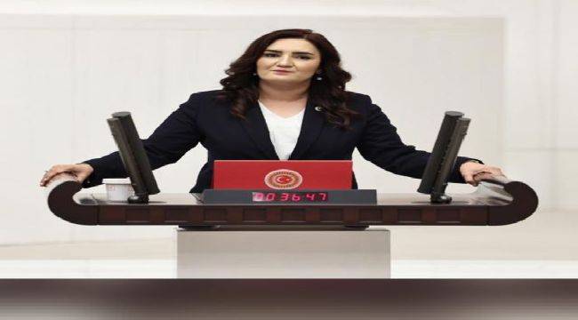 CHP İzmir Milletvekili Sevda Erdan Kılıç