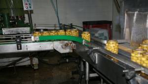 Türkiye’nin sofralık zeytin ihracatı 184 milyon 510 bin dolar oldu