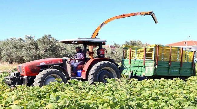 Yerli Ve Milli Çeşitler Hayvancılığa Da Katkı Sağlıyor