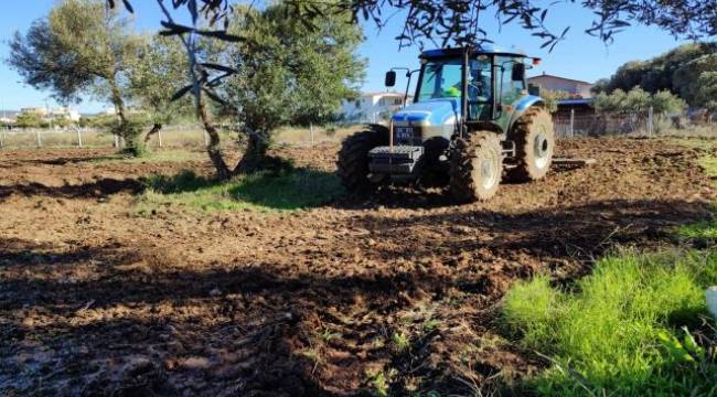 İzmir Büyükşehir çiftçi için arazilerini üretime kazandırdı