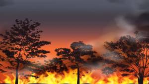 Orman yangınlarına 11 dakikadan önce müdahale edilebilir