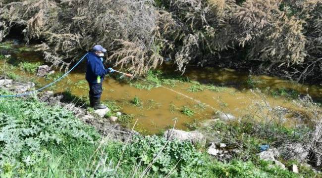 İzmir Büyükşehir Belediyesi ilaçlama çalışmalarına hız verdi