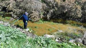 İzmir Büyükşehir Belediyesi ilaçlama çalışmalarına hız verdi