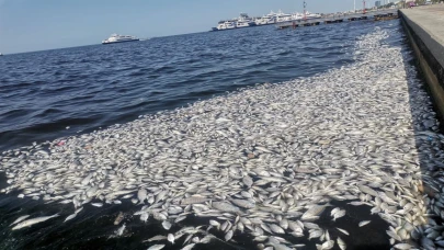 “İzmir Körfezi Kirli ve Bir Süre Daha Kirli Kalacak”