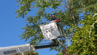 Narlıdere Belediyesi'nden kapsamlı temizlik çalışması