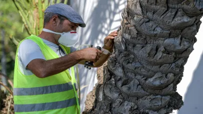 Palmiye ağaçlarına yapay zeka desteği ile koruma