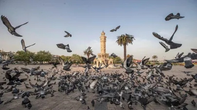 İklim krizi ile ilgili yurttaşın da sözü olacak