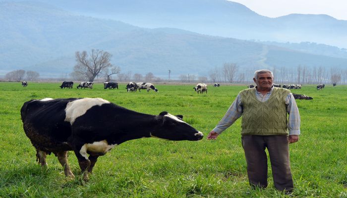 Süt krizi Tire’yi “pas” geçti
