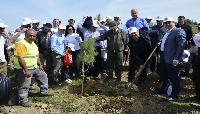 Eğitim-Bir-Sen İzmir, bin fidanı toprakla buluşturdu