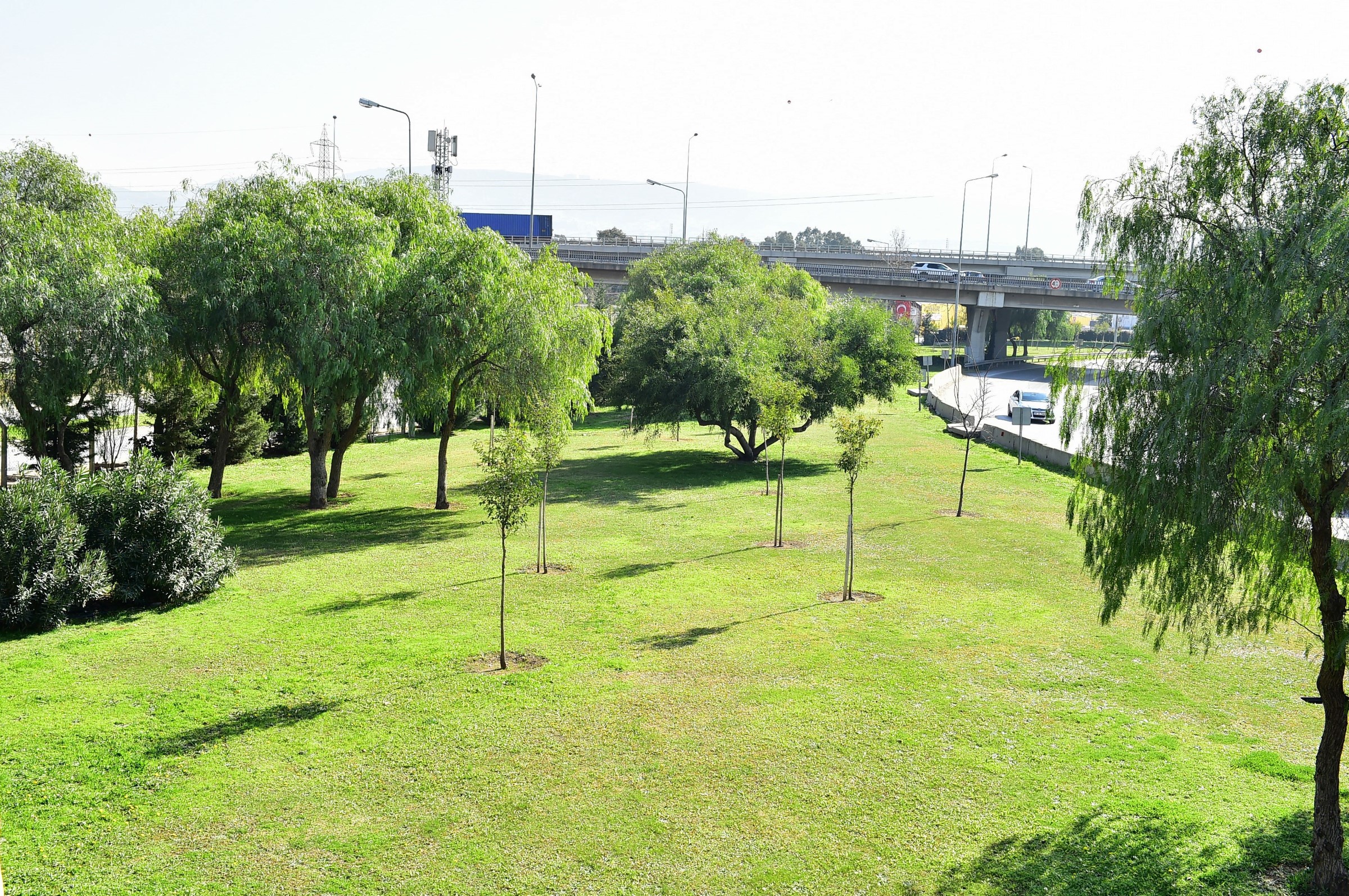 Yeşil seferberliği