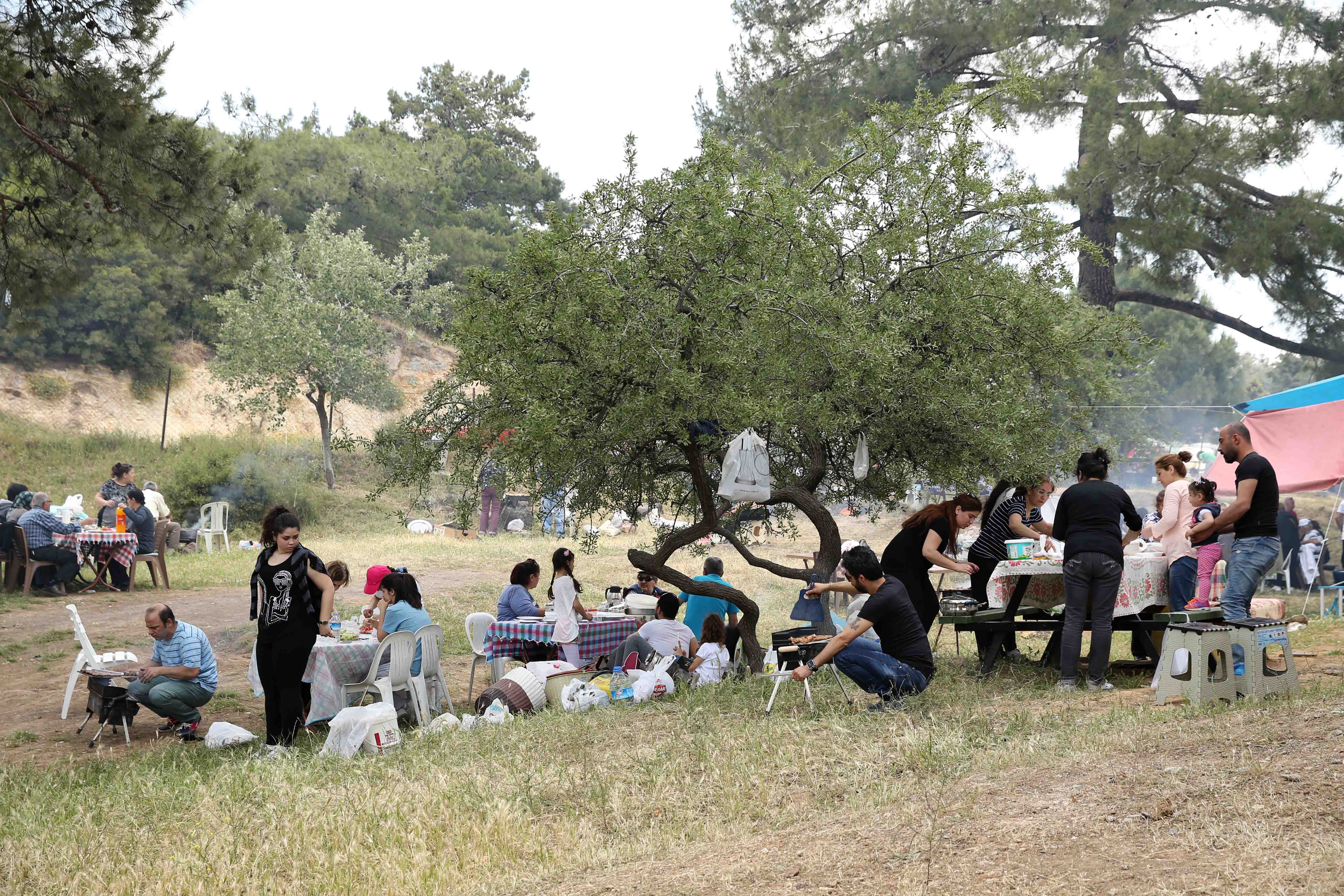 Doğanın kalbinde piknik zamanı