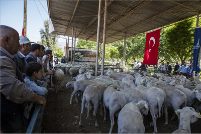 Bu projede “hayat” var