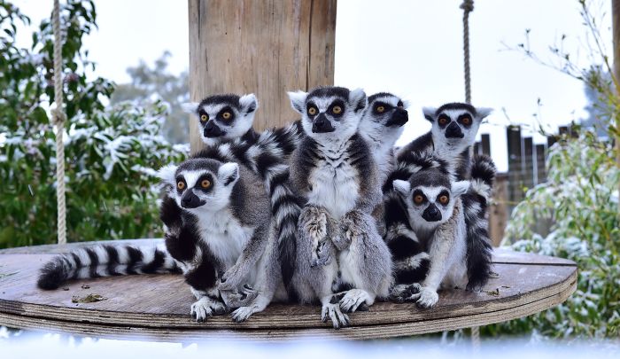 Doğal Yaşam’da “sıra dışı” bir gün
