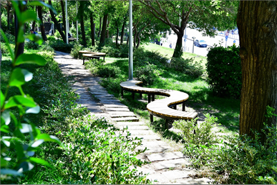 Şimdi daha 